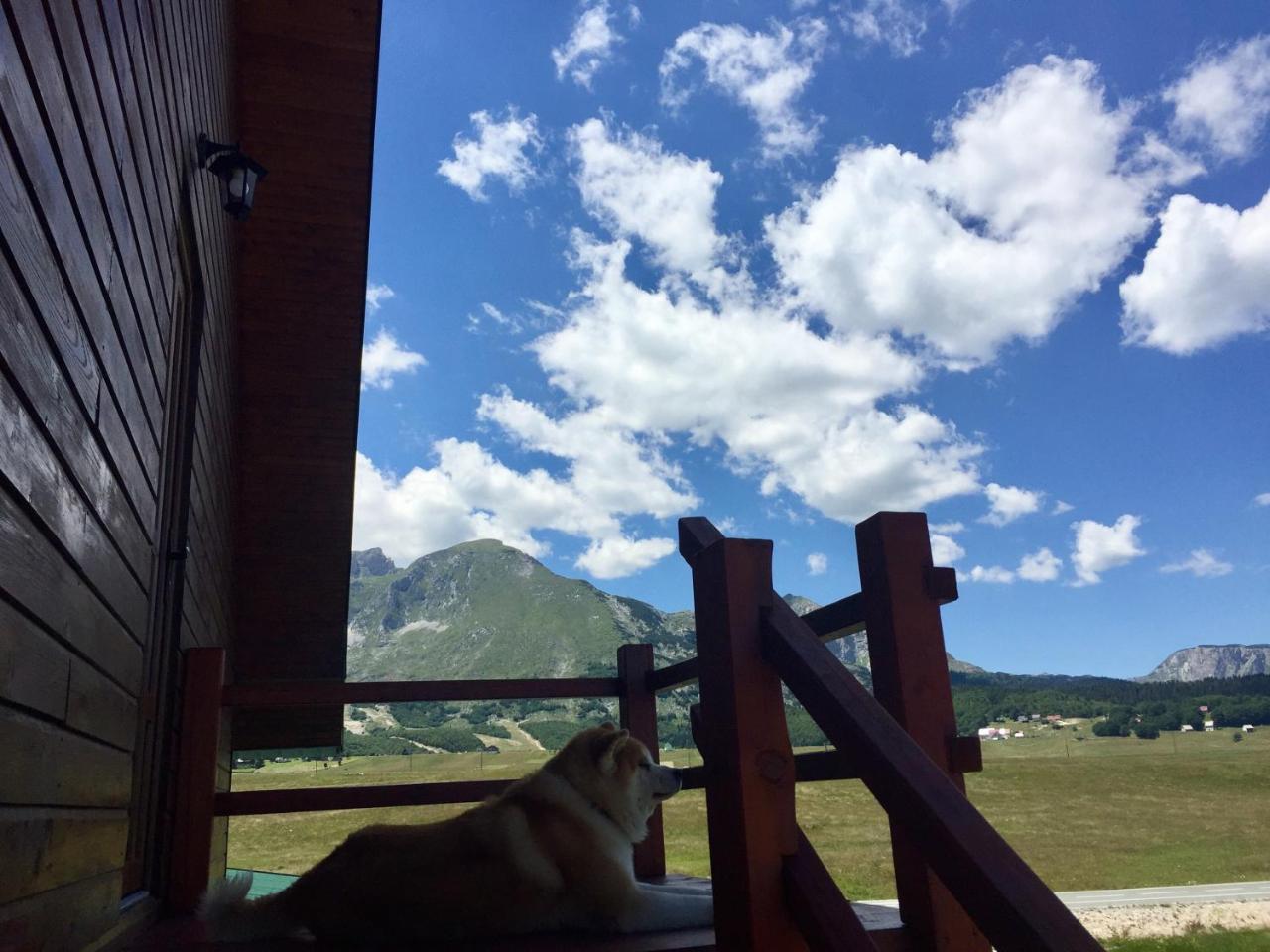 B&B Izvor Zabljak  Ngoại thất bức ảnh